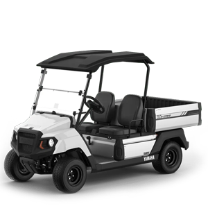 2-SEAT UTILITY